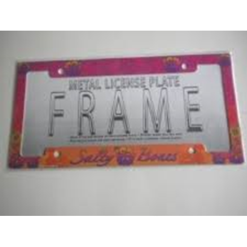 License Frame,metal,salty Bone 